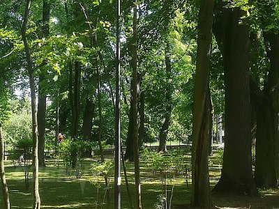 Park Kleszczówka Żory